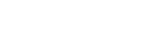 NAVFI Logo